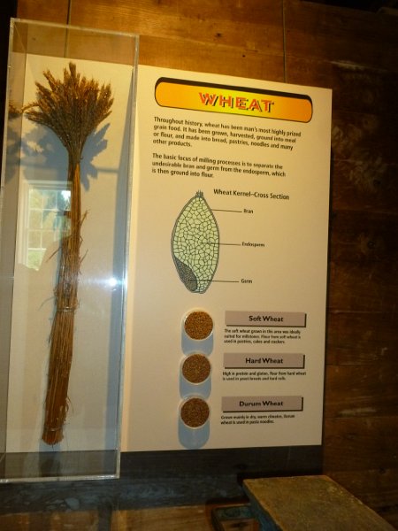 Mystery Run July 2013 042